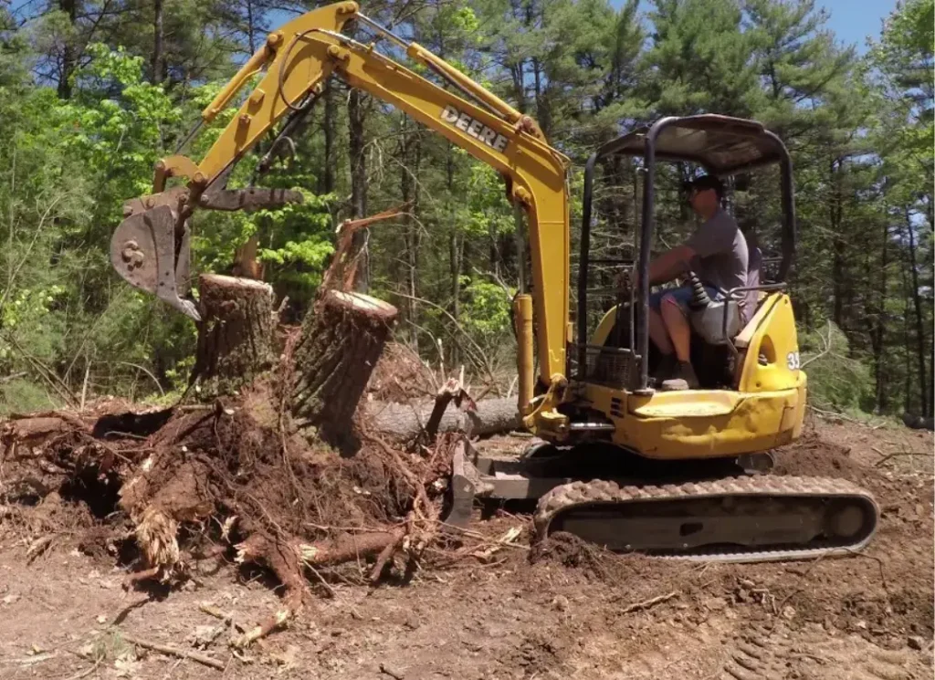 Excavator removing tree stump